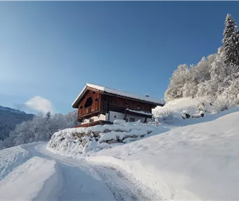 Ein charmantes Holzhaus im Winter, umgeben von schneebedeckten Bäumen. Der Himmel ist klar und blau, und der Weg führt sanft zum Gebäude.