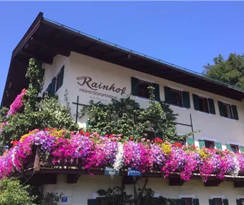 Ein schönes Gebäude mit einem Balkon voller bunter Blumen. Der Himmel ist klar und blau.