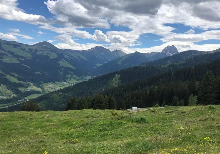 Aussicht am Wiegalmtrail