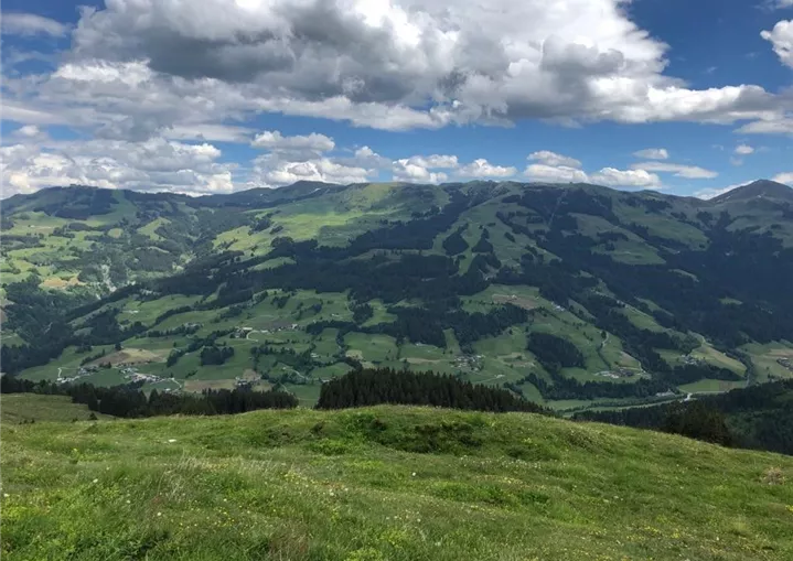 Aussicht am Wiegalmtrail