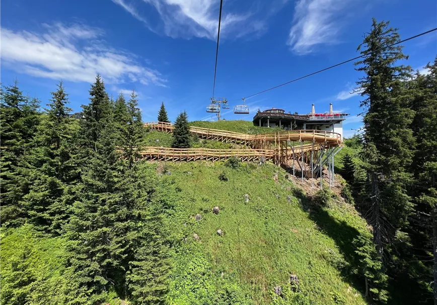 Die legendäre Holzschnecke am Sonnenrast Trail