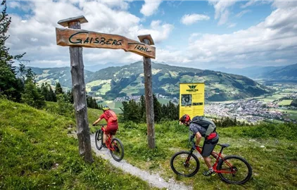 Einstieg Gaisberg Trail