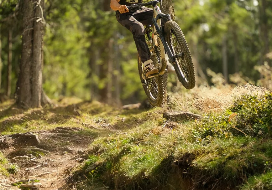 Fleckalm Trail - Wurzelaction 2026