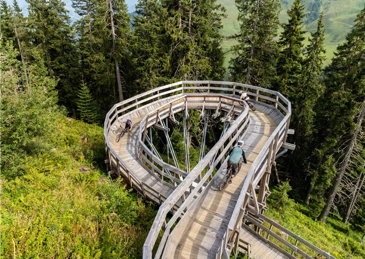Holzschnecke am Sonnenrast Trail