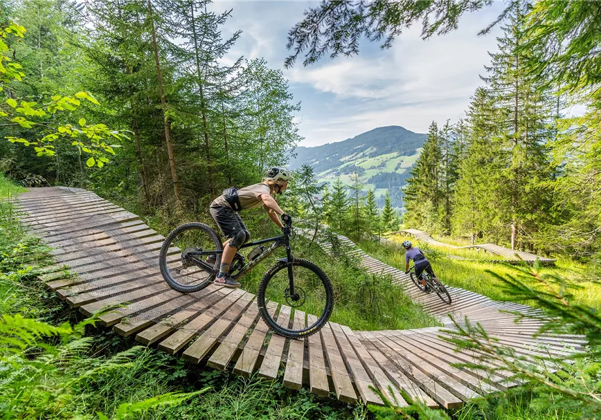 Holzsteg am Fleckalm Trail