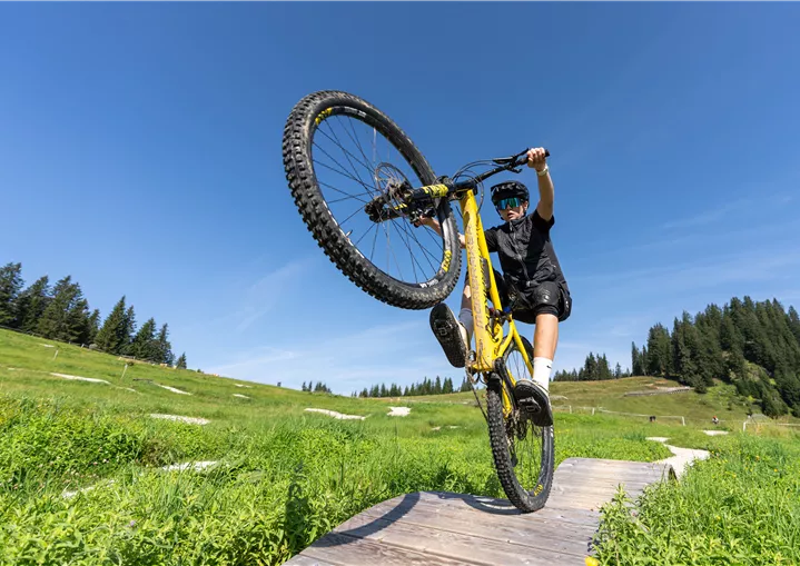 In der MTB Family Area Streiteck Mulde wartet die "Flat Learn Area" mit Übungselementen von sehr leicht bis mittelschwierig auf euch!