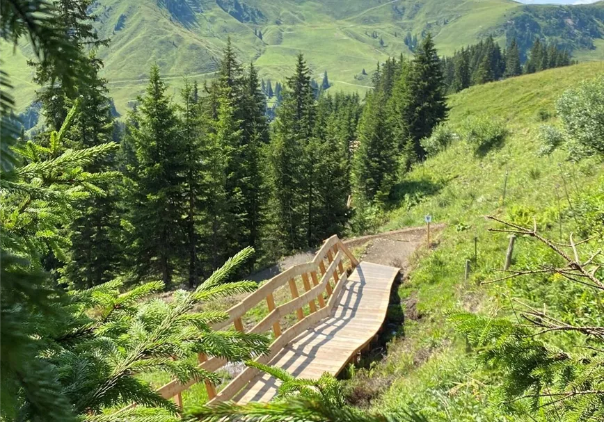 Lower Streiteck Trail Holzsteg