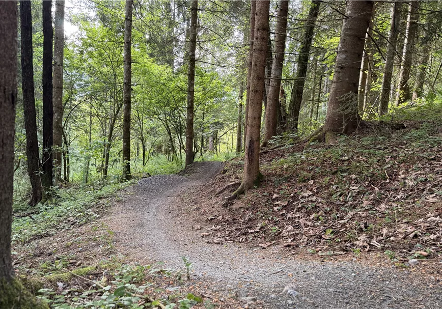 Mocking Downhill Trail