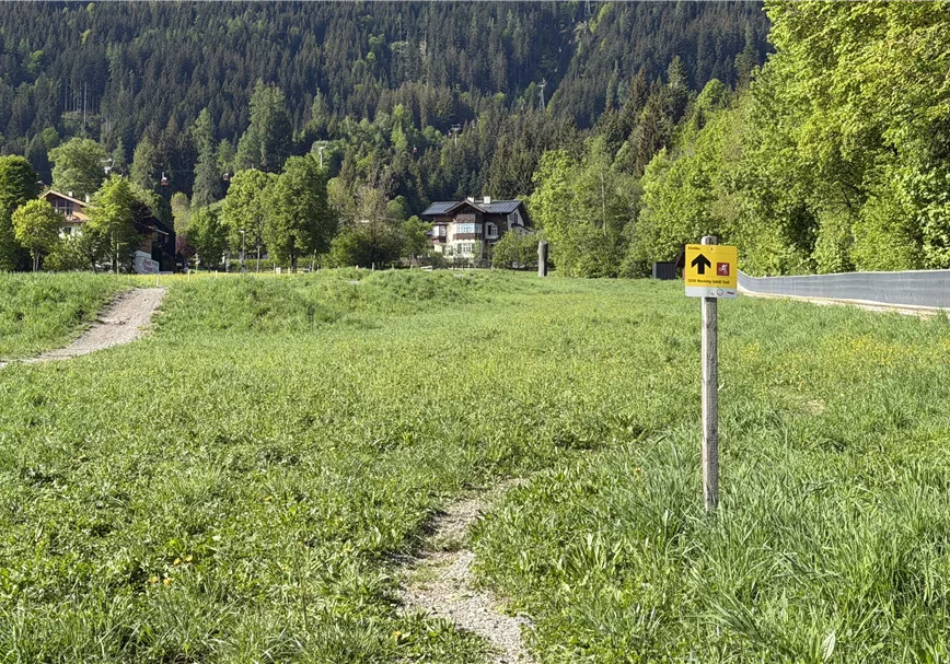 Mocking Uphill Trail Wegweiser
