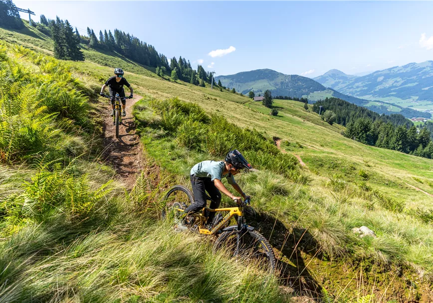 Sehnsuchtsort vieler Enduro Enthusiasten - der legendäre Fleckalm Trail (Great 5 Tirol!)