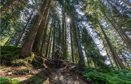 Mountainbiker auf dem Fleckalm Trail