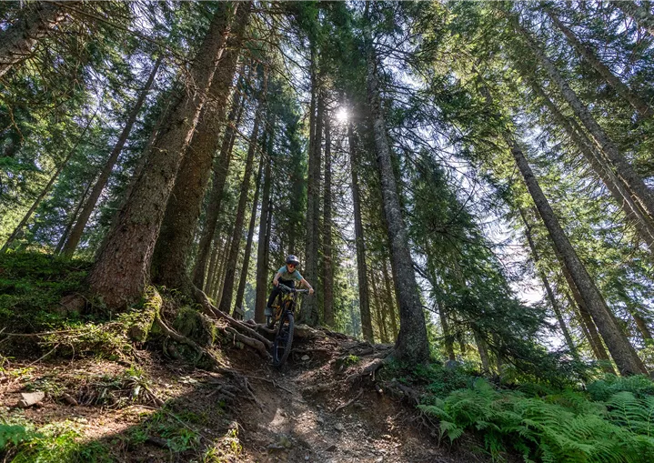 Mountainbiker auf dem Fleckalm Trail
