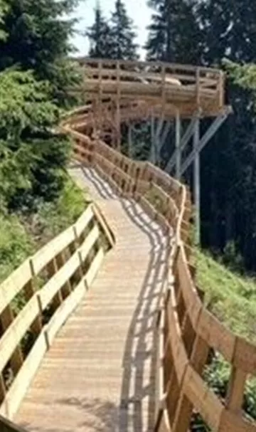 Upper Streiteck Trail Holzsteg