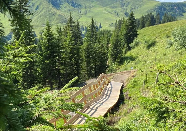 Upper Streiteck Trail Holzsteg