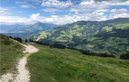 Wanderweg am Wiegalmtrail