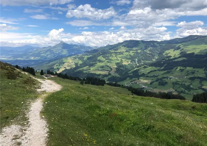 Wanderweg am Wiegalmtrail